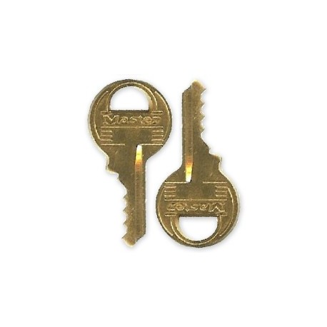 Master Lock Cut Key