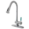 Kingston Brass GS888 Gourmetier Green Eden Single Lever Handle Kitchen Faucet w/ Spring Spout