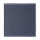 Brass Accents M07-S45 Quaker Switch Plates