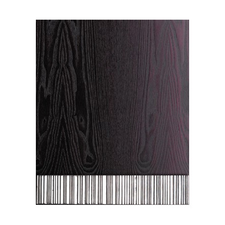 Philip Watts Barcode Pattern Door Kick Plate