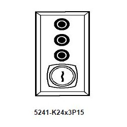 Dortronics 5241 Series Electrical Key Switch on Gang Plate