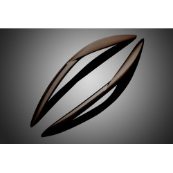 3.1.8_meridian_design_options_M3OR_02222011_0.jpg
