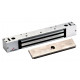 DynaLock 2268-10 Single/Outswing Lock, 12/24 VDC