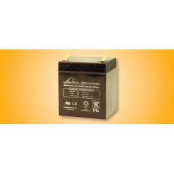 Securitron B-12-5 / B-24-5 Lead Acid Battery