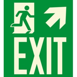 American Permalight EXIT Photoluminescent Aluminum Signage for New York City