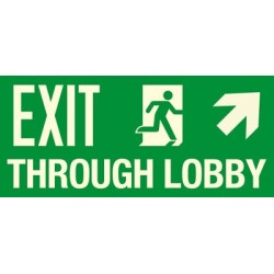 American Permalight EXIT THROUGH LOBBY Photoluminescent Aluminum Signage for New York City