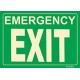 American Permalight 600082 Photoluminescent Emergency EXIT Sign