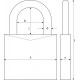 Abus 83/45 Brass Rekeyable Padlock