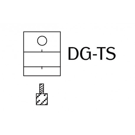 DG-TS_600px.jpg