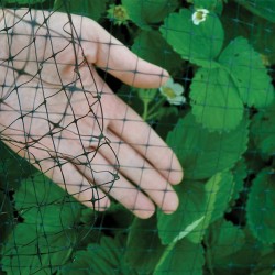Bird B Gone UN Garden Bird Netting Mesh