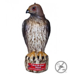 Bird B Gone RTH1 Red Tail Hawk Decoy