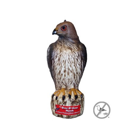 Bird B Gone RTH1 Red Tail Hawk Decoy