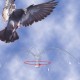 Bird B MMBS200-SPN Gone Bird Spider 360 Spinning Bird Deterrent