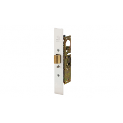 Adams Rite 4920AN ANSI Size Heavy Duty Deadlatch for Wood or Hollow Metal Doors