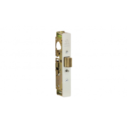 Adams Rite 4900 Heavy Duty Deadlatch with Two-Way Traffic