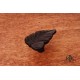 RKI CK 202 Leaf Knob