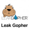 Leak Gopher